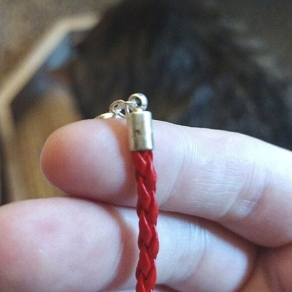 Cute Red and Silver Toned Paw Print ID and Glasses Holder Adjustable Necklace - Picture 9 of 11